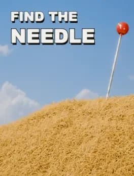 Find The Needle
