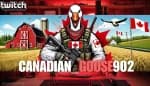 canadian_goose902