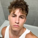 dodo