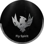 flyspirit