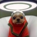 patiro