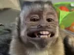 sergiorpg