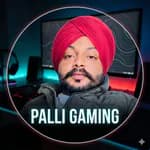 palli_gaming