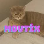movtix